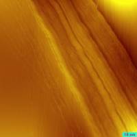 06082010_topo0002f.jpg 06082010_topo0002f.jpg