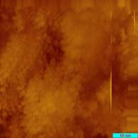 09_02_12_0005.jpg 09_02_12_0005.jpg