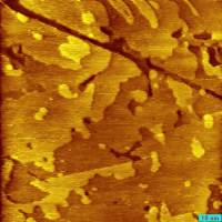 16082010_topo0001.jpg 16082010_topo0001.jpg