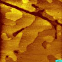 16082010_topo0002.jpg 16082010_topo0002.jpg