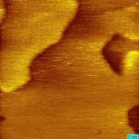 16082010_topo0003.jpg 16082010_topo0003.jpg