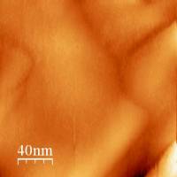 18120892_image_1.jpg 18120892_image_1.jpg