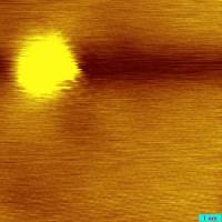 topo09_04_01_0002.jpg topo09_04_01_0002.jpg